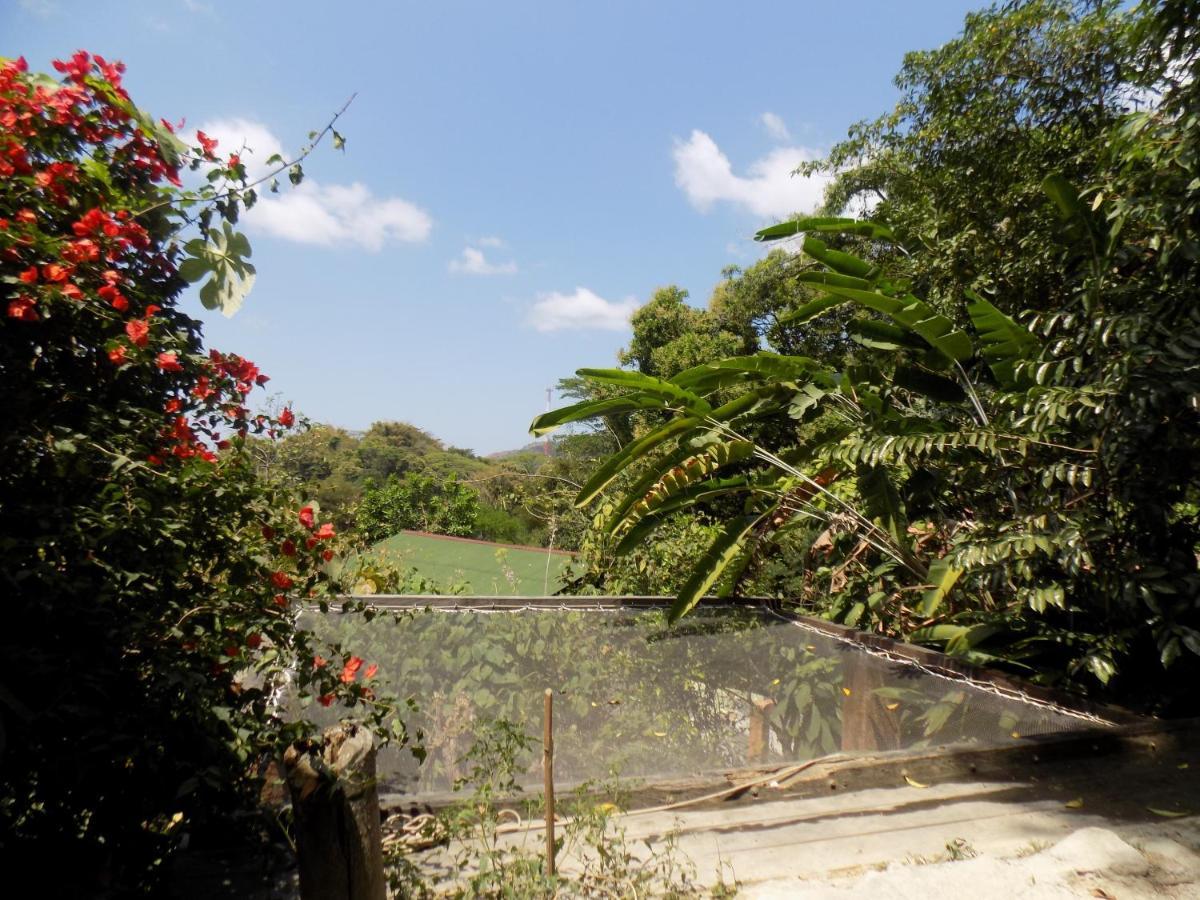 Colibri Hostal Minca Exterior foto